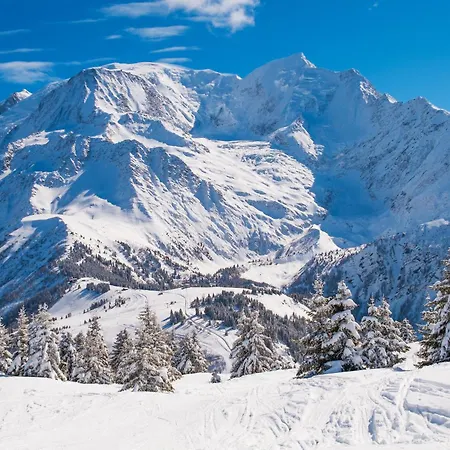 Beauregard 1 - Happy * Les Houches